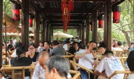 成都学校茶馆爆料最新,揭秘校园里的茶文化新风尚