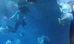 美人鱼7月爆料了吗视频,神秘剧情与演员阵容大揭秘